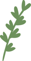 Floral element. Twig with leaves png