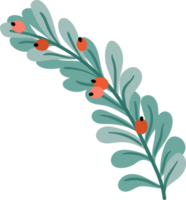 Floral element. Twig with leaves and berries png