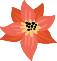 elemento floral. flor de nochebuena png