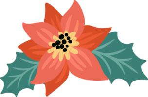 elemento floral. flor de nochebuena png