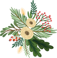 Christmas flowers. Isolated illustration. png