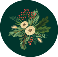 Christmas flower. Isolated illustration. png