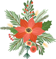 Christmas flowers. Isolated illustration. png