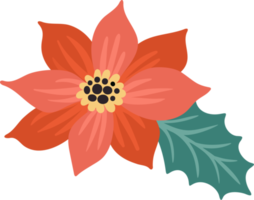élément floral. fleur de poinsettia png