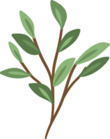 Floral element. Twig with leaves png