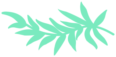 Plant decoration, nature design element. PNG with transparent background.