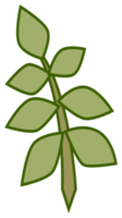 Plant illustration. Nature design element. PNG with transparent background.