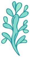 Plant illustration. Nature design element. PNG with transparent background.