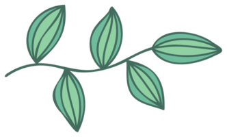 Plant illustration. Nature design element. PNG with transparent background.