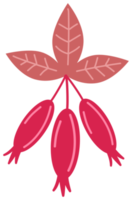 Plant decoration, nature design element. PNG with transparent background.