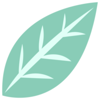 Plant decoration, nature design element. PNG with transparent background.