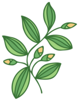 ilustração de plantas. elemento de design da natureza. png com fundo transparente.