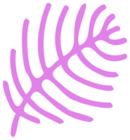 Plant decoration, nature design element. PNG with transparent background.