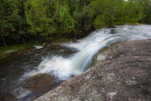 Beautiful forest waterfall thailand - The jungle green tree and plant detail nature in the rain forest with moss fern on the rock and trees water streams waterfalls flowing from the mountains photo