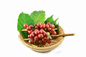 Fresh red coffee beans and green leaf isolated on white background photo