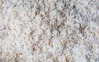 Shredded coconut scraping out of fresh for coconut milk on background photo