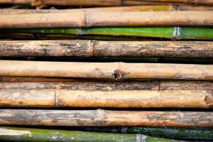 old bamboo wall background - nature wall photo
