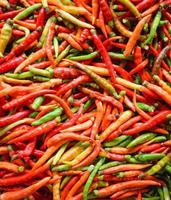 Chili background Fresh red and green chilli pepper texture photo