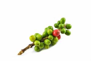 Fresh red and green coffee beans isolated on white background photo