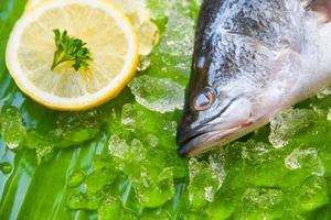 Fresh sea bass fish for cooking Seafood raw seabass plate ocean gourmet on ice photo