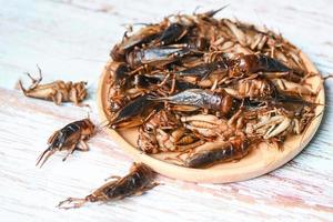 cricket insect on wooden plate background, cricket insect related to the grasshoppers for food in Asian photo