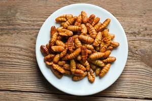 pupa on white plate background, fry silk worms - fried pupa for food beetle worm photo