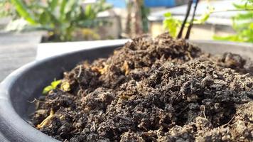 fertile soil in black pots in the morning photo