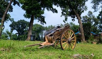 un carro de caballos viejo y roto que fue abandonado en un jardín foto