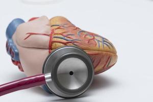 A stethoscope and heart model on the table photo