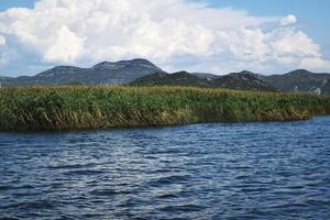 el lago skadar en montenegro foto