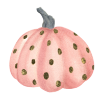 Watercolor illustration of a pumpkin. Pink pumpkin with golden elements, isolated on a white background. Ideal for decorative decoration of the autumn festival, greeting cards, invitations, posters. png