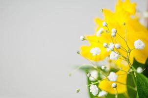 A closeup of beautiful bouquet daffodils, baby's breath and green leaves in a bouquet photo