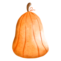 autunno acquerello zucca, autunno o autunno animale, acquerello illustrazione png