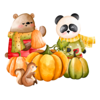 Cute Christmas Watercolor Bear, Panda, Teddy, Autumn or Fall Animal, Watercolor illustration png