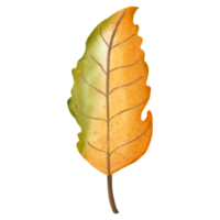 hojas de manzana de acuarela de otoño, animal de otoño o otoño, ilustración de acuarela png