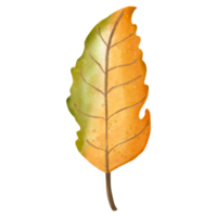 höst vattenfärg äpple löv, höst eller falla djur, vattenfärg illustration png