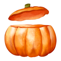 höst vattenfärg pumpa, höst eller falla djur, vattenfärg illustration png