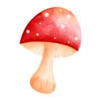 champignon aquarelle d'automne, animal d'automne ou d'automne, illustration aquarelle png