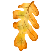 herfst waterverf eik bladeren, herfst of vallen dier, waterverf illustratie png