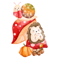 linda navidad acuarela puercoespín y caracol, animal de otoño o otoño, ilustración de acuarela png