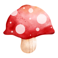 cogumelo em aquarela de outono, animal de outono ou outono, ilustração em aquarela png