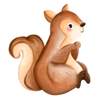 esquilo de aquarela de natal fofo, animal de outono ou outono, ilustração de aquarela png