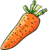 Watercolor cartoon carrot png