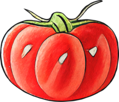 tomate de dessin animé aquarelle png