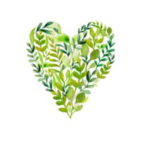 coeur de verdure aquarelle png