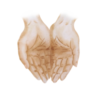 Watercolor open hands png