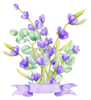 A bouquet of green eucalyptus leaves and lilac lavender. Watercolor illustration Hand drawn eucalyptus branch with lavender flowers png