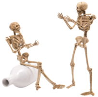 Human skeleton as people talking isolated png