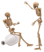 Human skeleton as people talking isolated png