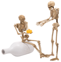 Human skeleton as people talking isolated png